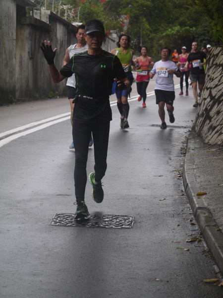 畢拉山道(黃泥涌樹木研習徑入口)[0903-0920am] (226)