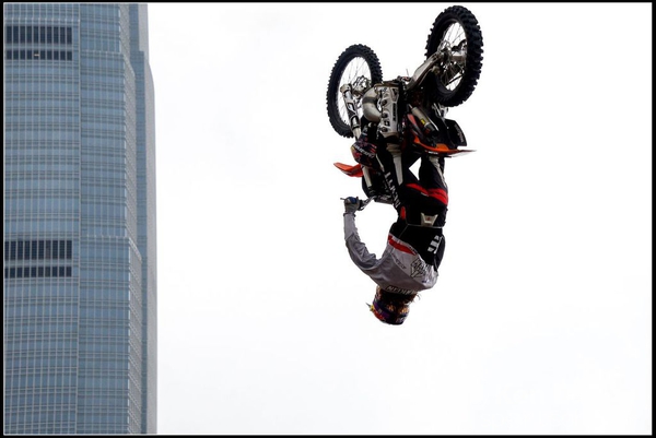 20150403Bull X 1065