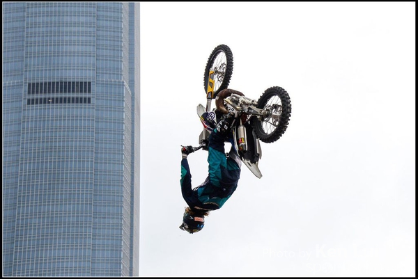 20150403Bull X 1068