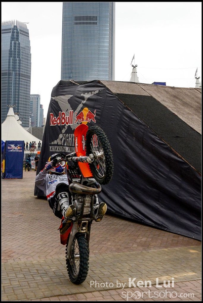20150403Bull X 1078