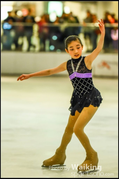 WaikingSkating337
