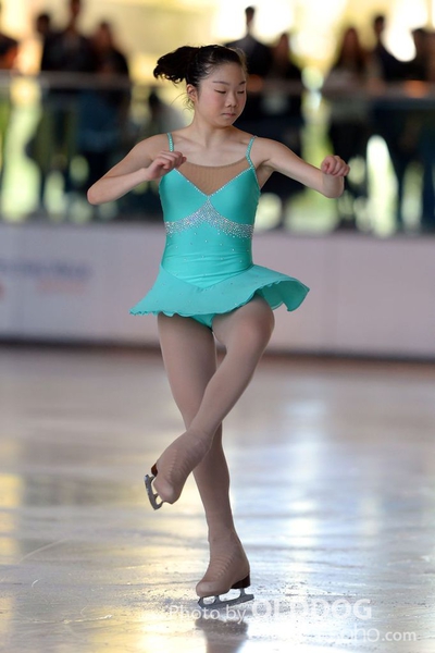 Skating (110)