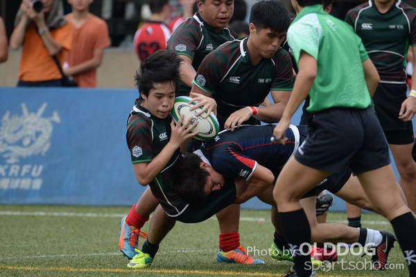 School Rugby (15)