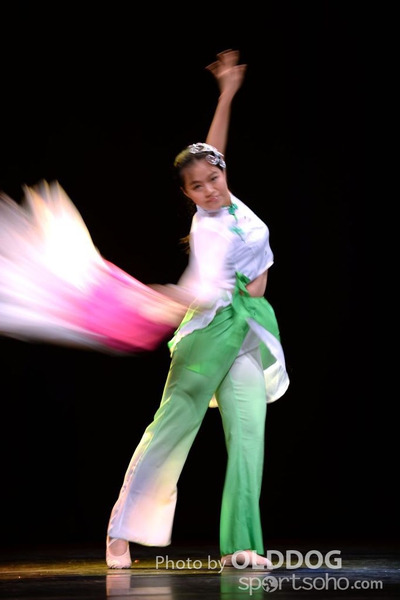 Solo Dance (310)