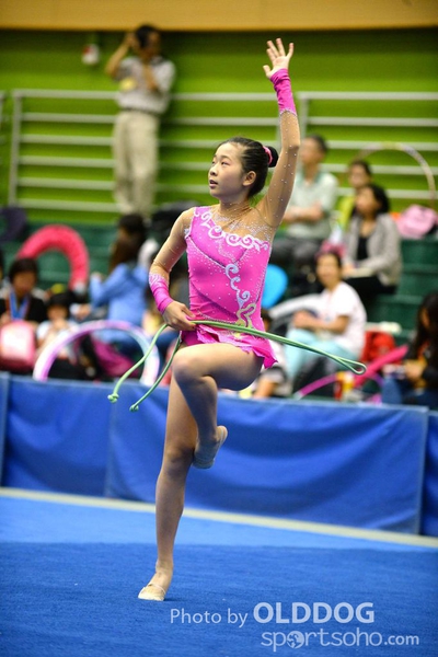 Gymnastics (2)