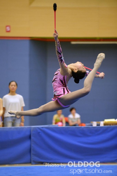 Gymnastics (21)