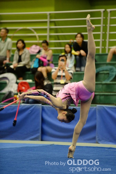 Gymnastics (22)