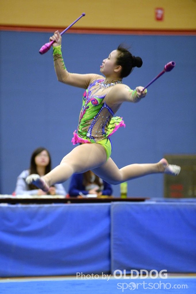 Gymnastics (25)
