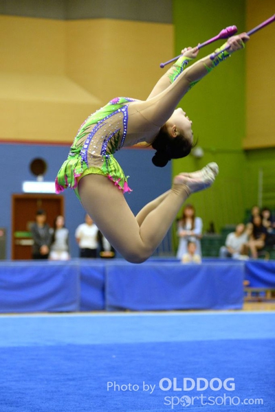 Gymnastics (28)