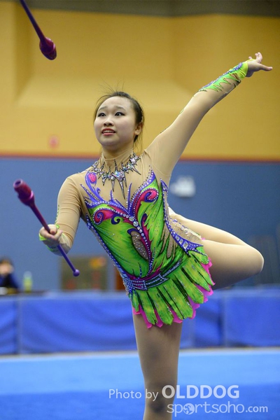 Gymnastics (29)