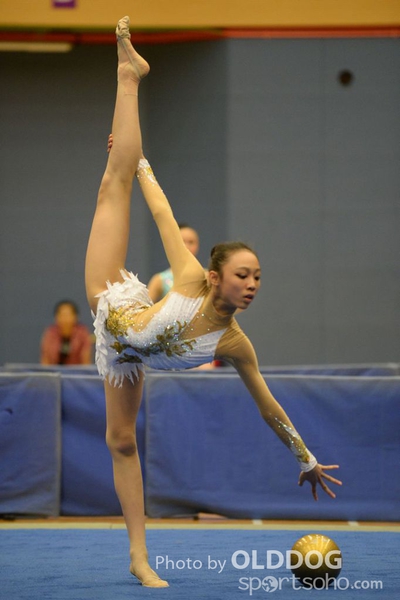 Gymnastics (40)