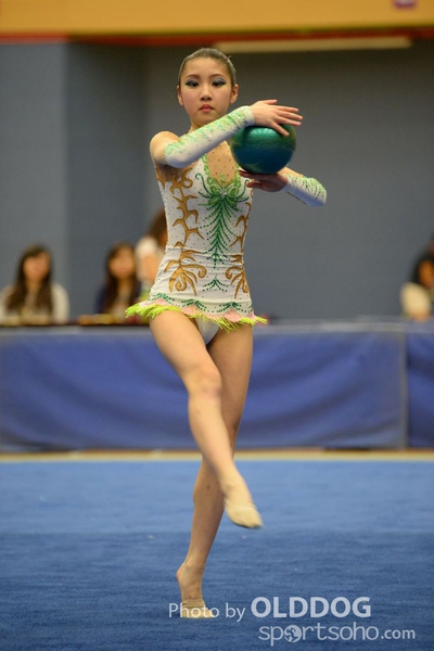 Gymnastics (53)