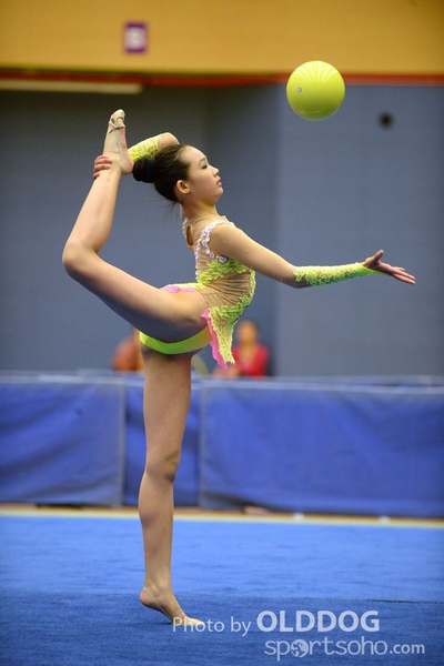 Gymnastics (84)