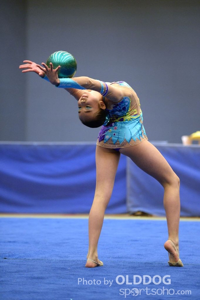 Gymnastics (91)