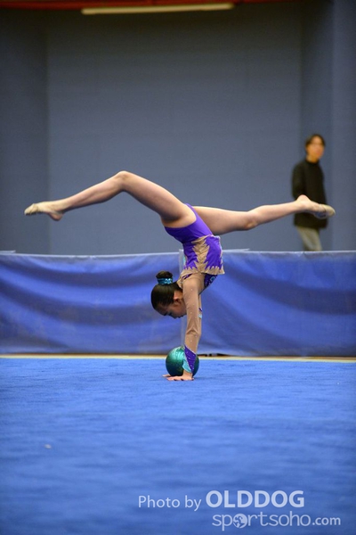 Gymnastics (93)