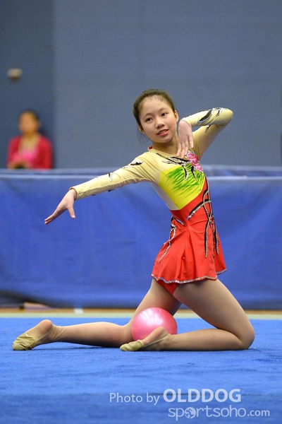 Gymnastics (100)