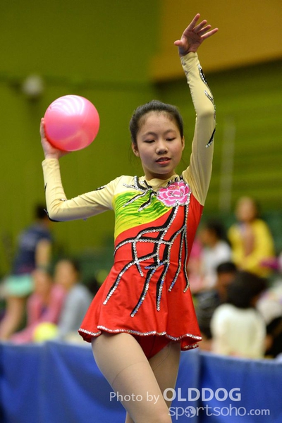 Gymnastics (102)