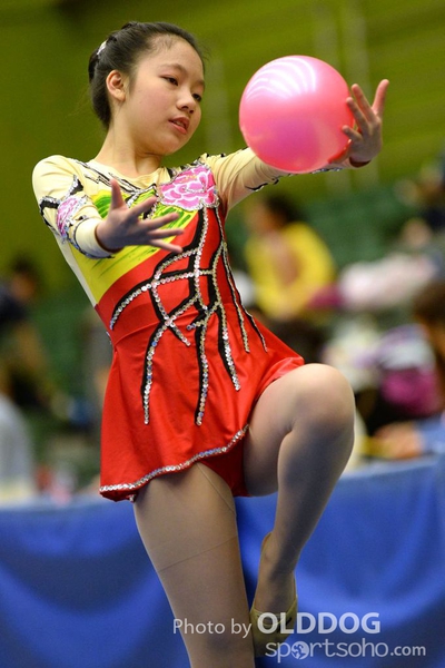 Gymnastics (103)