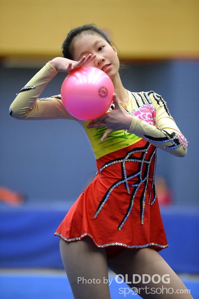 Gymnastics (105)