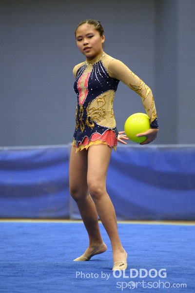 Gymnastics (107)