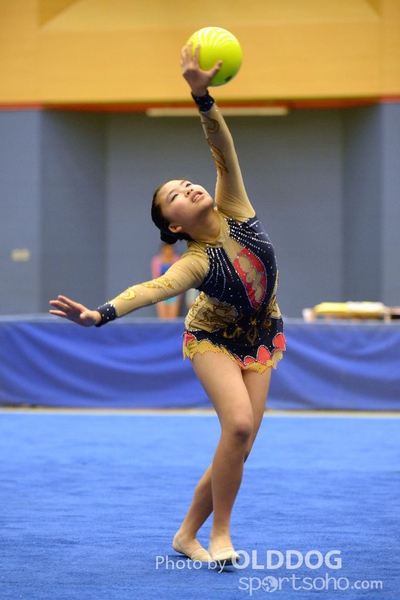 Gymnastics (109)