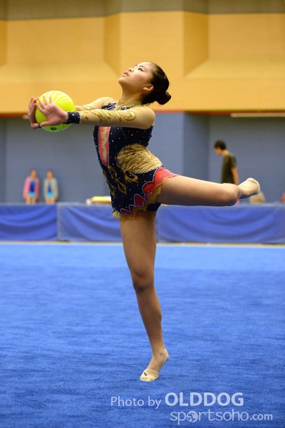 Gymnastics (110)