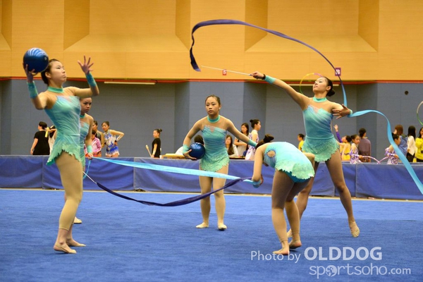 Gymnastics (113)
