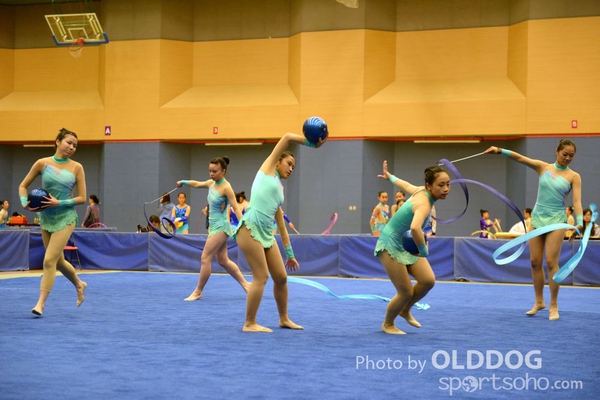 Gymnastics (116)
