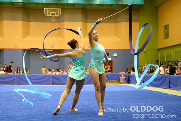Gymnastics (121)