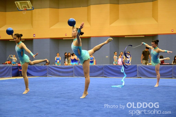 Gymnastics (130)