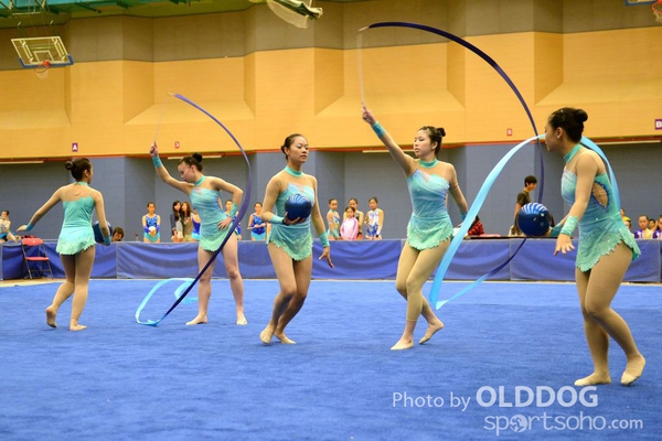 Gymnastics (131)