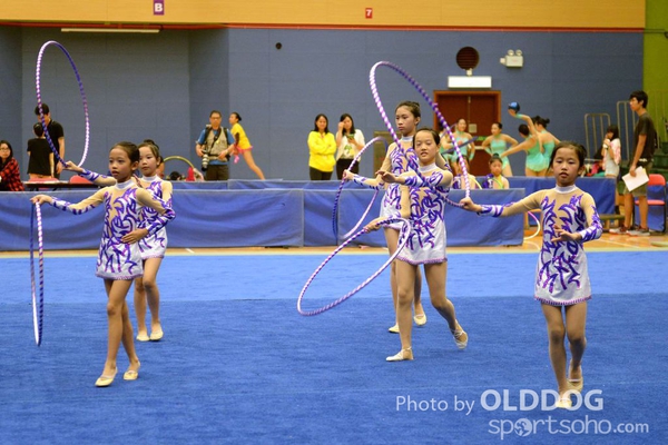 Gymnastics (134)