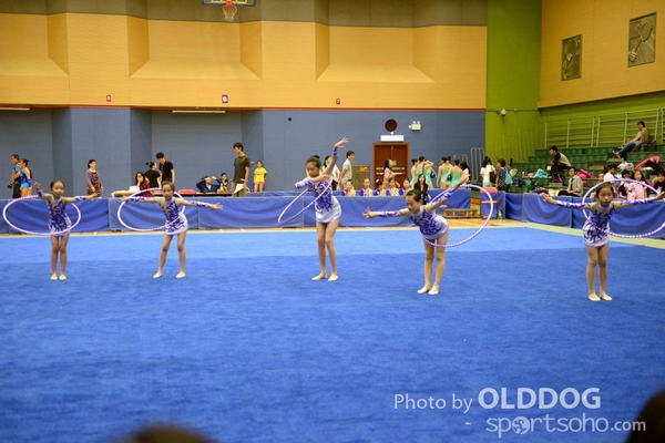 Gymnastics (136)