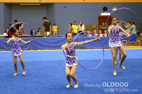 Gymnastics (137)
