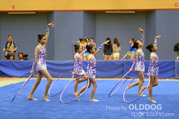 Gymnastics (138)