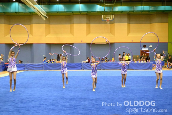 Gymnastics (139)