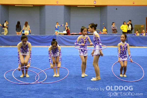 Gymnastics (142)