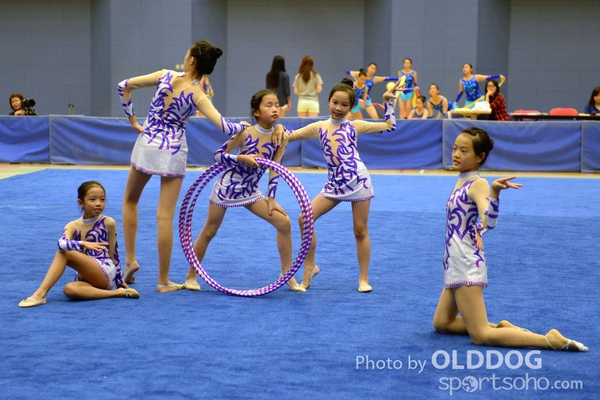 Gymnastics (144)