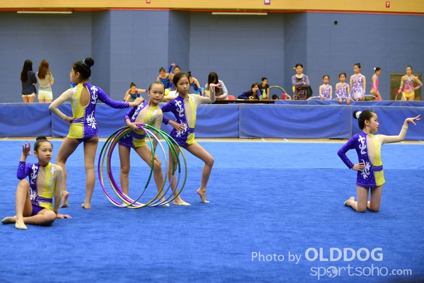 Gymnastics (156)