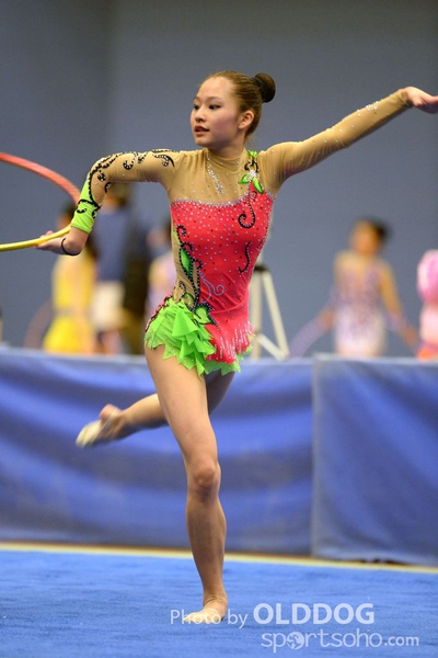 Gymnastics (160)