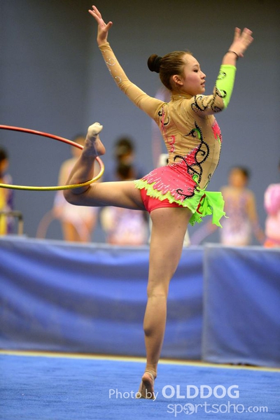 Gymnastics (161)