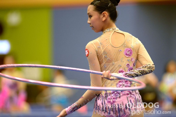 Gymnastics (171)
