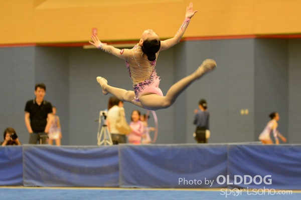 Gymnastics (173)