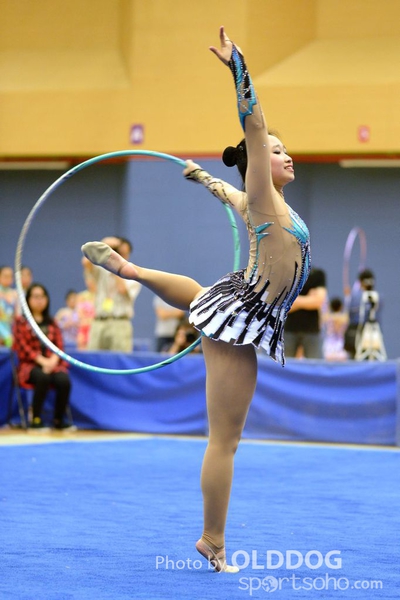 Gymnastics (178)