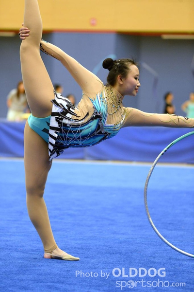 Gymnastics (179)