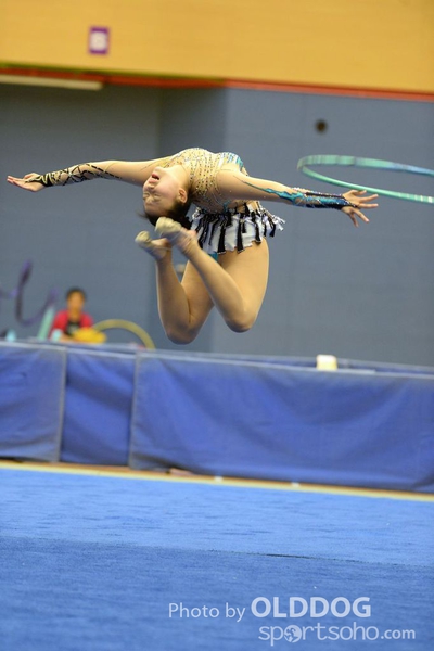 Gymnastics (181)