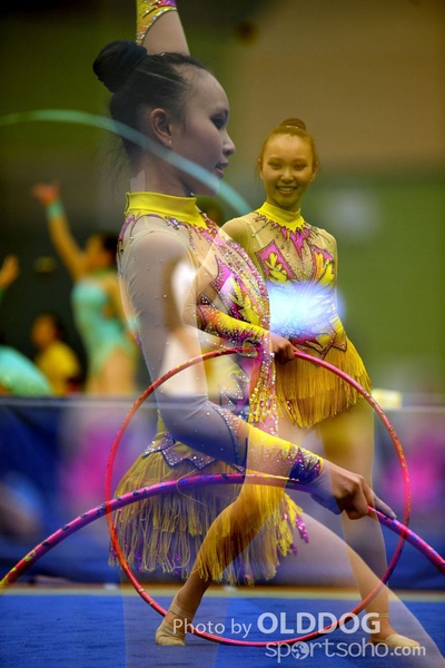Gymnastics (192)