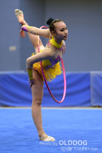 Gymnastics (196)