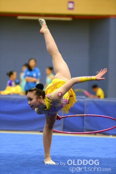 Gymnastics (199)