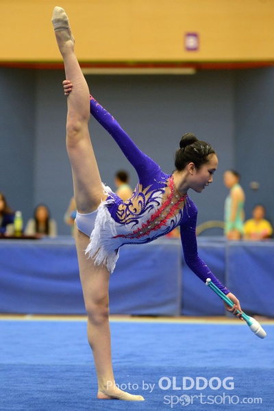 Gymnastics (206)